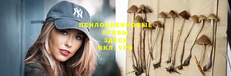 blacksprut зеркало  Шахты  Галлюциногенные грибы MAGIC MUSHROOMS 